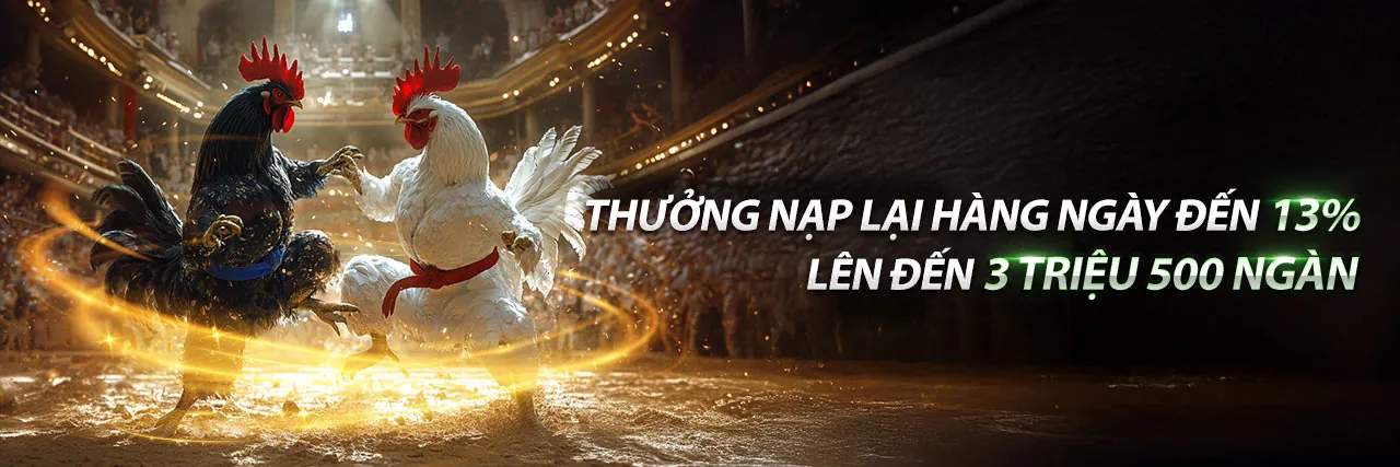 Điều khoản Dịch vụ ok88